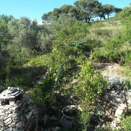 Sunce - One Bedroom With Sea View And Terrace Daire